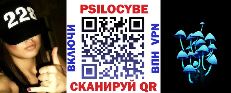 купить наркоту  Никольское  Галлюциногенные грибы мицелий 